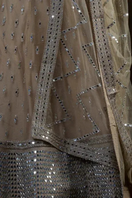 Dream Mirror Embellished Lehenga - MyEthnikRentals