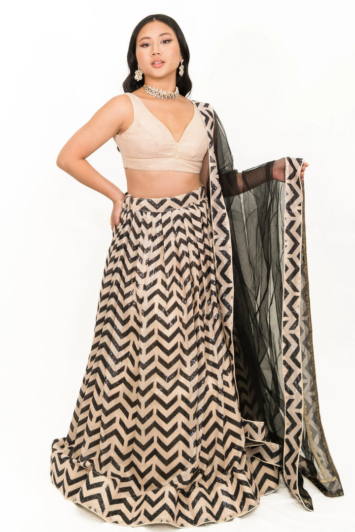 Black Chevron Embroidered Lehenga (Outside Ontario) - MyEthnikRentals