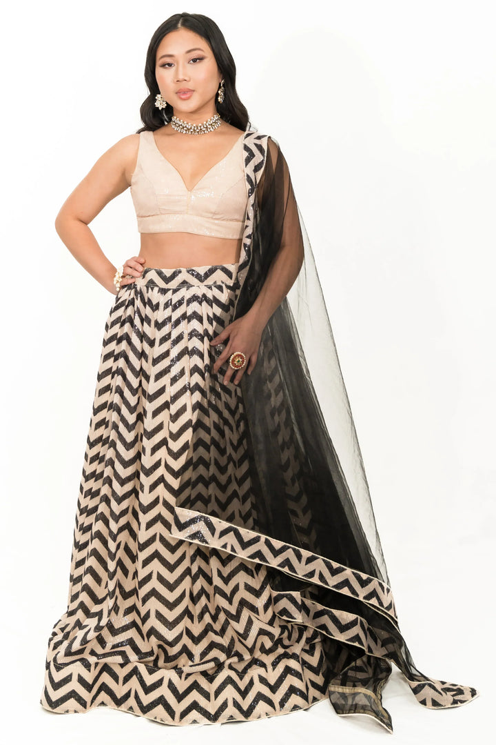 Black Chevron Embroidered Lehenga (Outside Ontario) - MyEthnikRentals