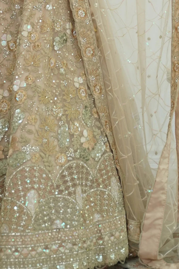 Blush Pink Butterfly Lehenga - MyEthnikRentals