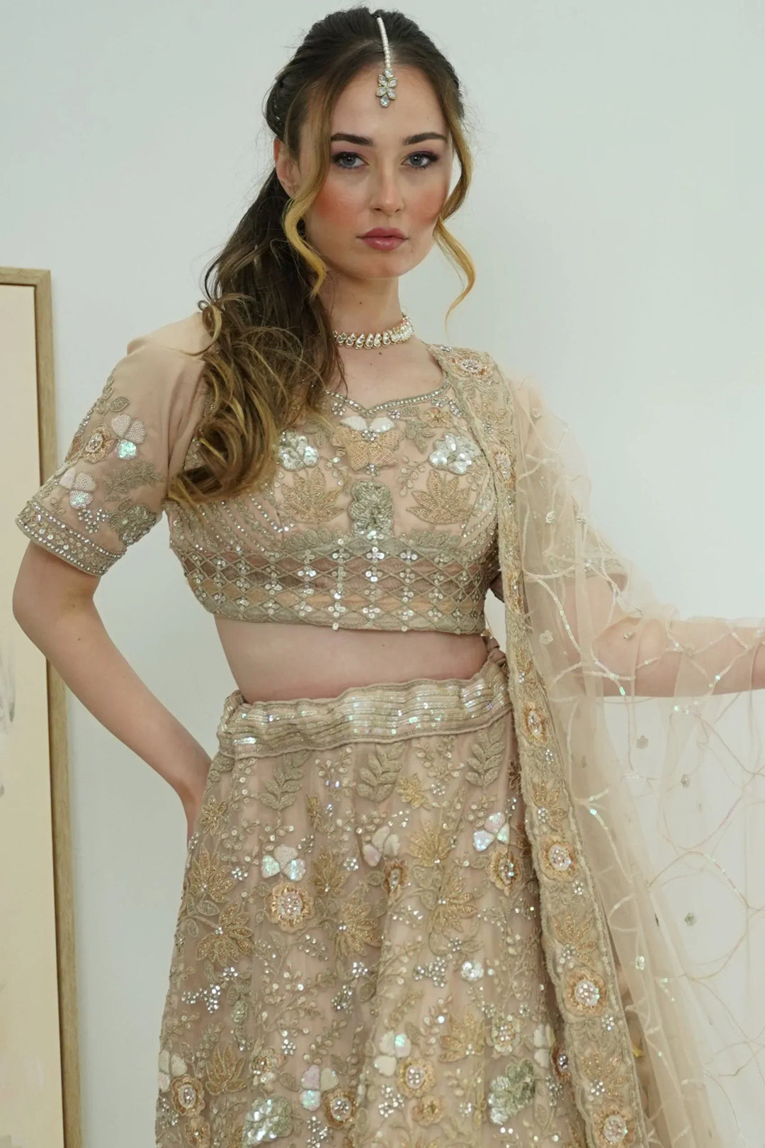 Blush Pink Butterfly Lehenga (Outside Ontario) - MyEthnikRentals