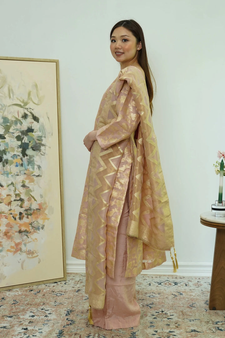 Champagne Glint Banarasi Salwar Kameez - MyEthnikRentals