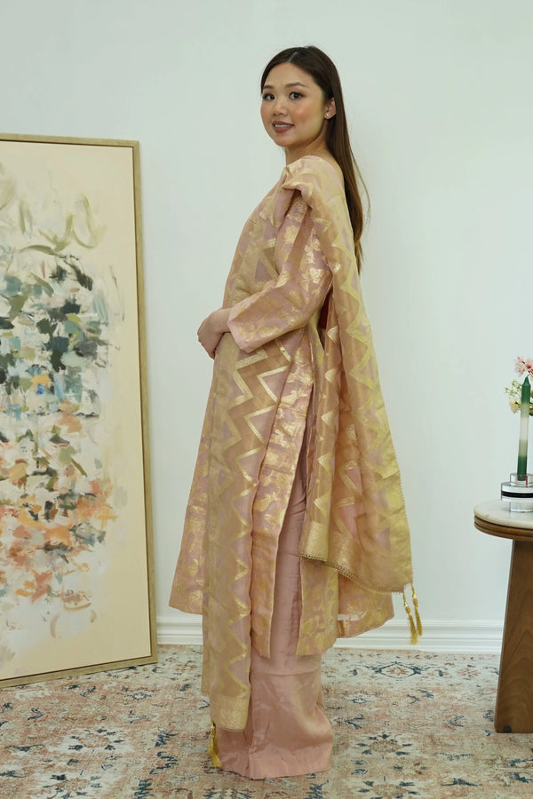 Champagne Glint Banarasi Salwar Kameez - MyEthnikRentals