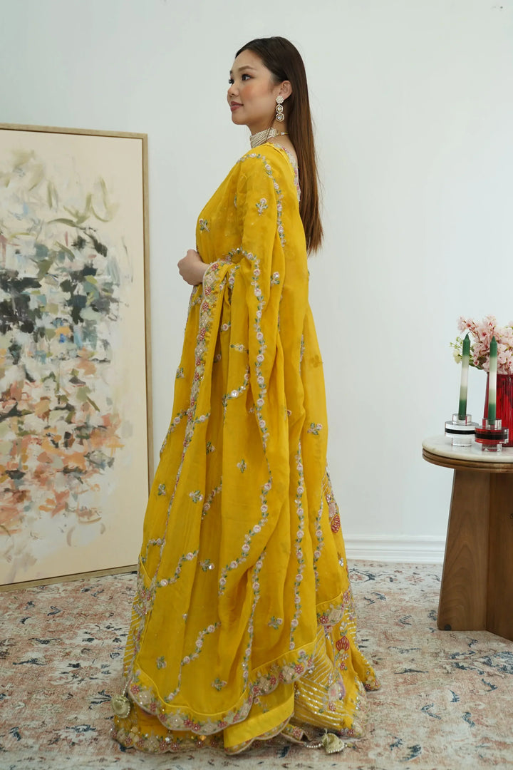 Sunlit Mirror Work Lehenga - MyEthnikRentals