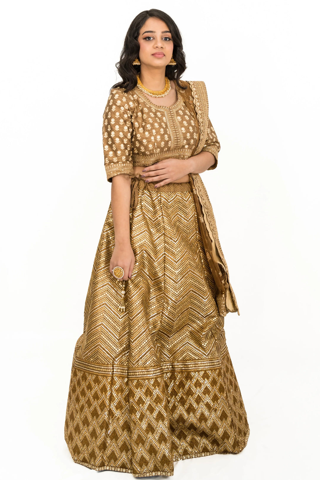 Glittery Shimmery Gold Lehenga - MyEthnikRentals