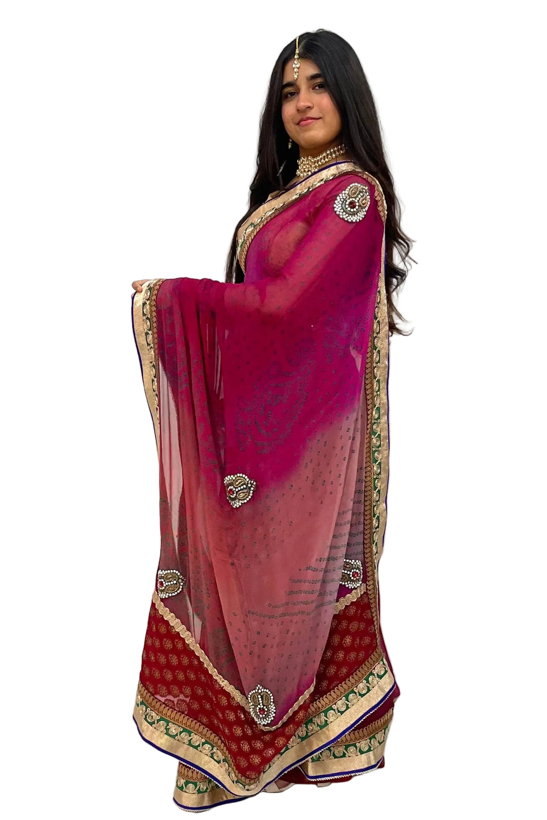 Red Jaipuri Heavy Saree (Outside Ontario) - MyEthnikRentals