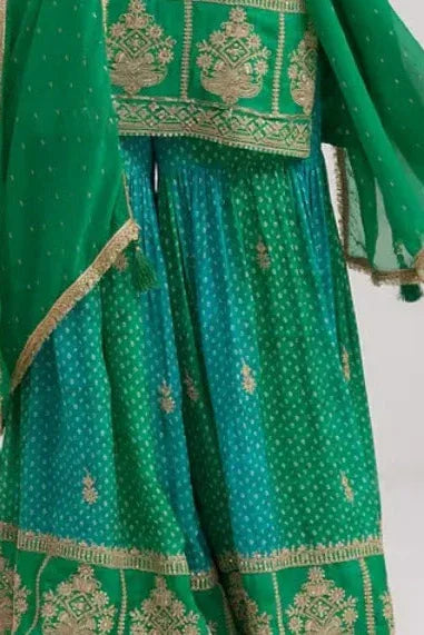 Olive Bandhani Chinon Salwar Kameez (Outside Ontario) - MyEthnikRentals