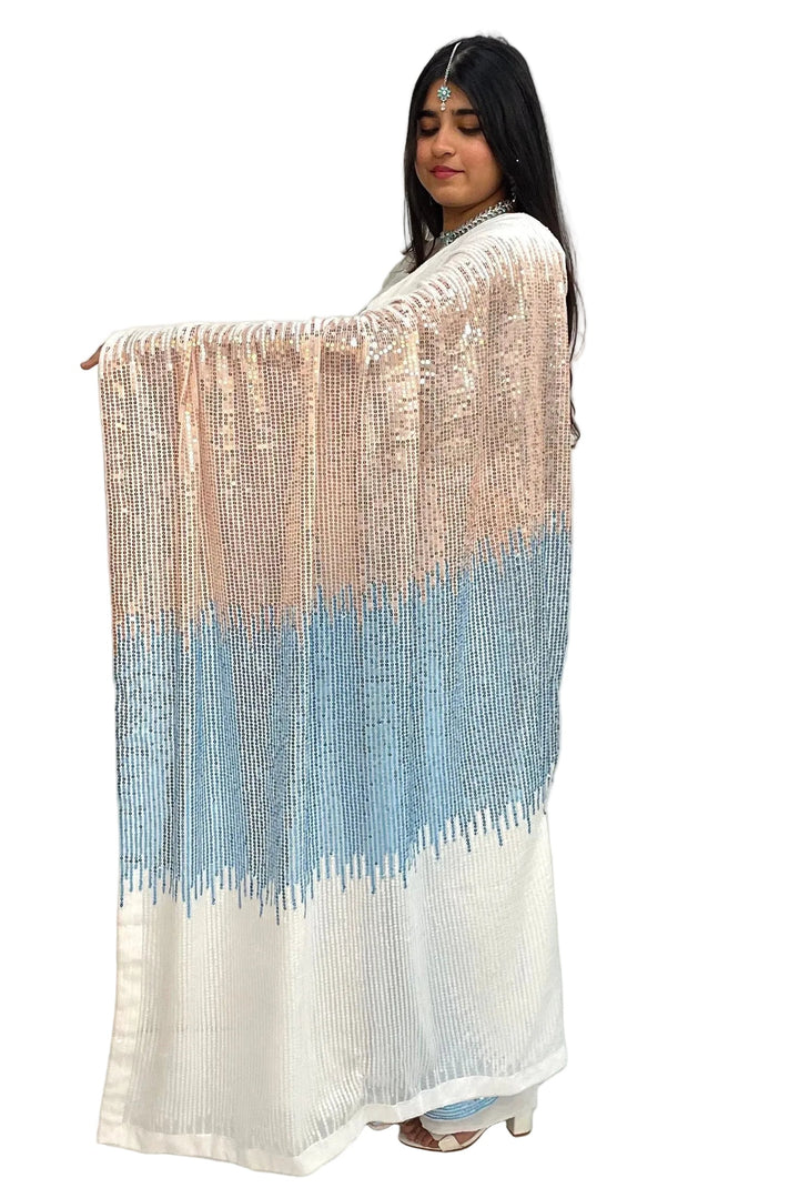 Blue and Pink Sequin Saree - MyEthnikRentals
