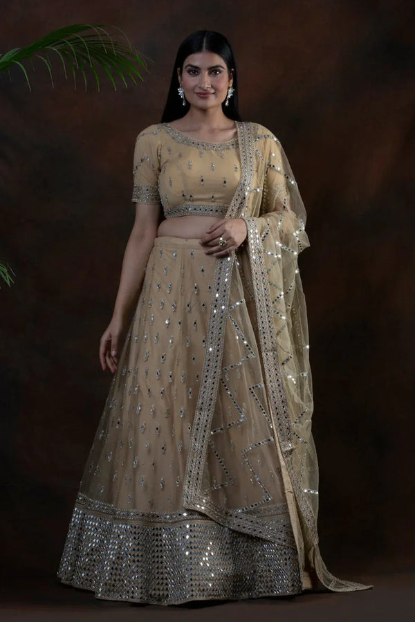 Dream Mirror Embellished Lehenga (Outside Ontario) - MyEthnikRentals