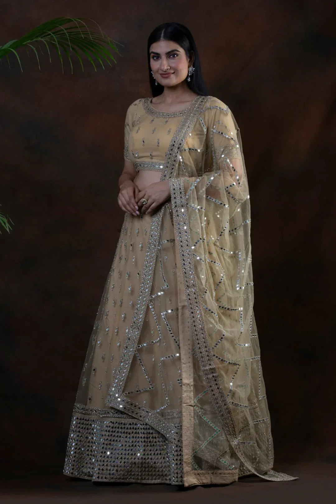 Dream Mirror Embellished Lehenga - MyEthnikRentals