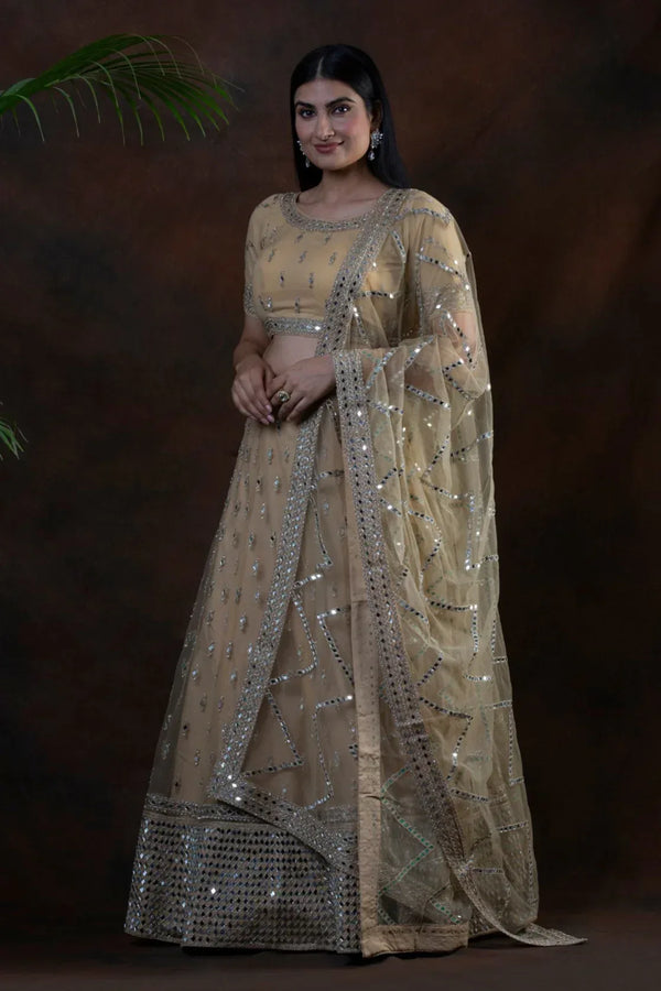 Dream Mirror Embellished Lehenga (Outside Ontario) - MyEthnikRentals