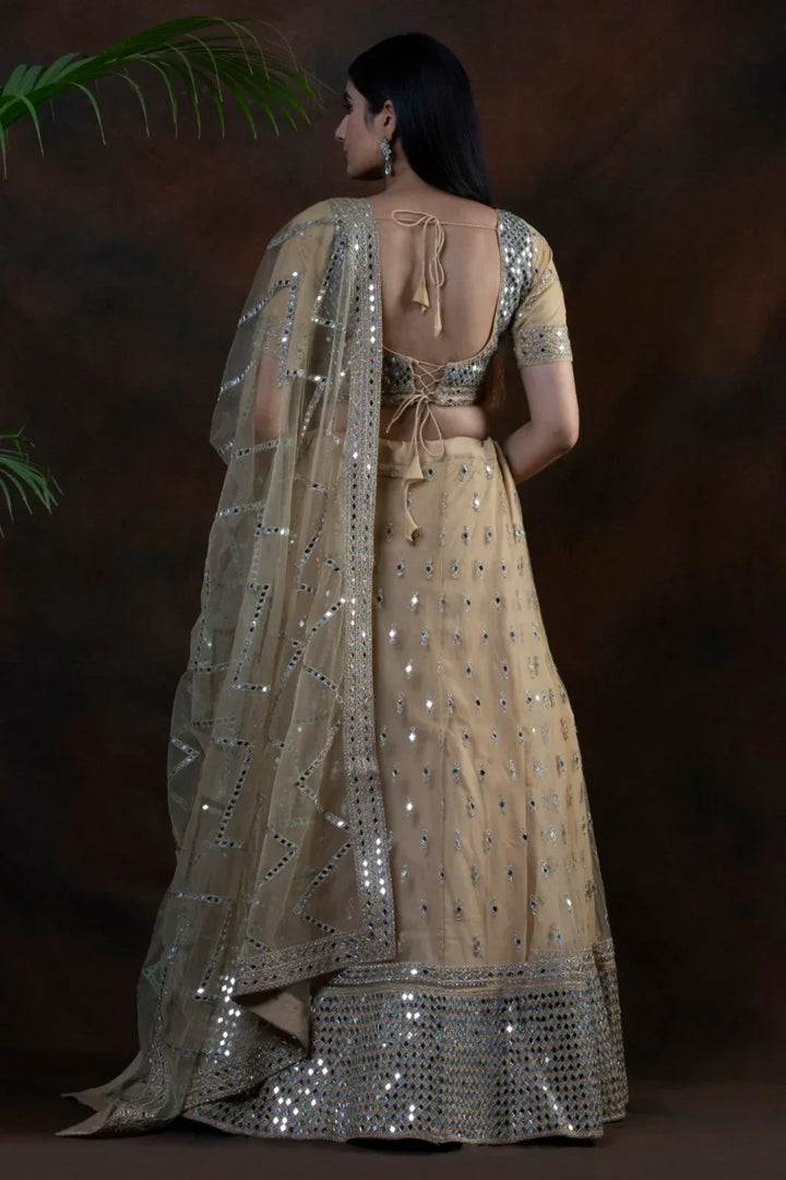 Dream Mirror Embellished Lehenga - MyEthnikRentals