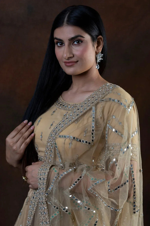 Dream Mirror Embellished Lehenga (Outside Ontario) - MyEthnikRentals